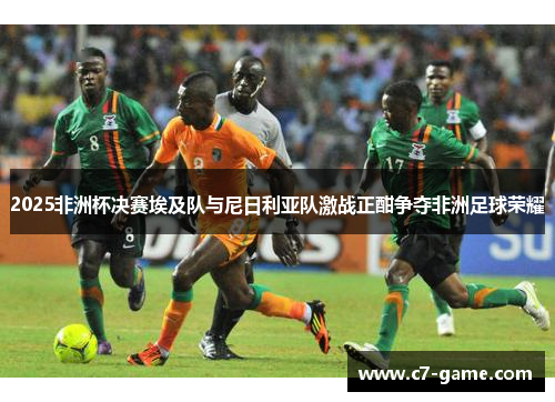 2025非洲杯决赛埃及队与尼日利亚队激战正酣争夺非洲足球荣耀